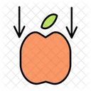 Gravity  Icon
