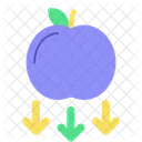 Gravity Science Experiment アイコン