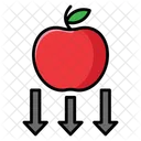 Gravity Law  Icon