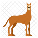 Great Dane Dog Puppy Icon