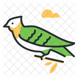 Great Spotted Cuckoo  Icon