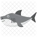 Great White Shark White Shark White Icon