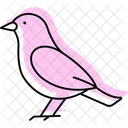 Grebe Bird Water Icon
