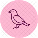 Grebe Bird Water Icon