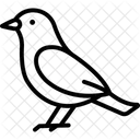 Grebe Bird Water Icon