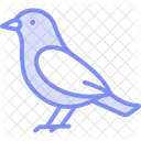 Grebe Bird Water Icon