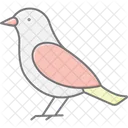 Grebe Bird Water Icon