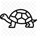 Greek Tortoise Icon