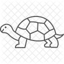 Greek Tortoise Greektortoise Reptile Icon