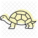 Greek Tortoise Icon