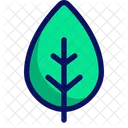 Green Ecology Nature Icon