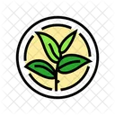 Green Tea Leaf Icon