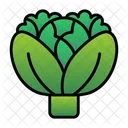 Green Cabbage Natural Icon