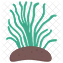 Seaweed Green Algae Edible Seaweed Icon