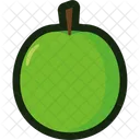 Green Apple Icon