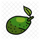 Green Avocado Leaf  Icon