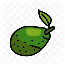 Green Avocado Leaf  Icon