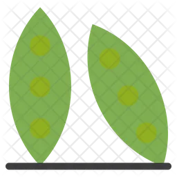 Green Bean  Icon