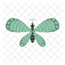 Green butterfly  Icon