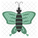 Green butterfly  Icon