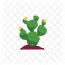 Cactus Vector Plant Icon