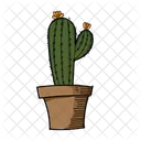 Green Cactus  Icon