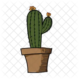 Green Cactus  Icon