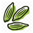 Cardamom Green Plant Icon