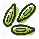 Green Cardamom Cardamom Herb Icon