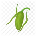 Green Chili Pepper Food Vegetable Icon