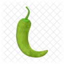 Green Chili Pepper Food Vegetable Icon