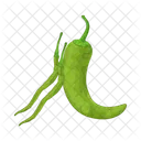 Green Chili Pepper Food Vegetable Icon