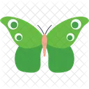 Green Clipper Butterfly  Icon