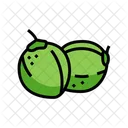 Green Coconut Green Coco Green Icon