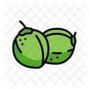 Green Coconut Green Coco Green Symbol