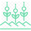 Green Crop Rows Green Crop Icon