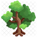 Green Forest  Icon
