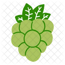 Green grapes  Icon