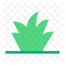 Green Grass  Icon