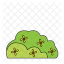 Green grass  Icon