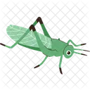 Grasshopper Insect Fauna Icon