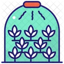 Green House House Ecology Icon