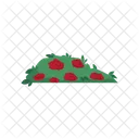 Green Plant Garden Icon