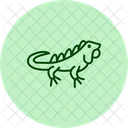 Green Iguana Greeniguana Pet Icon