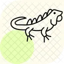 Green Iguana Greeniguana Pet Icon