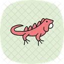 Green Iguana Greeniguana Pet Icon