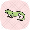Green Iguana Greeniguana Reptile Icon