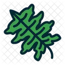 Green Leaf  Icon