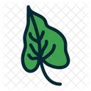 Leaf Green Leaf Leaves Icon
