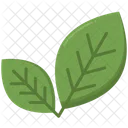 Green Leaf  アイコン